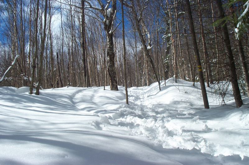 sentier eneigé2.jpg