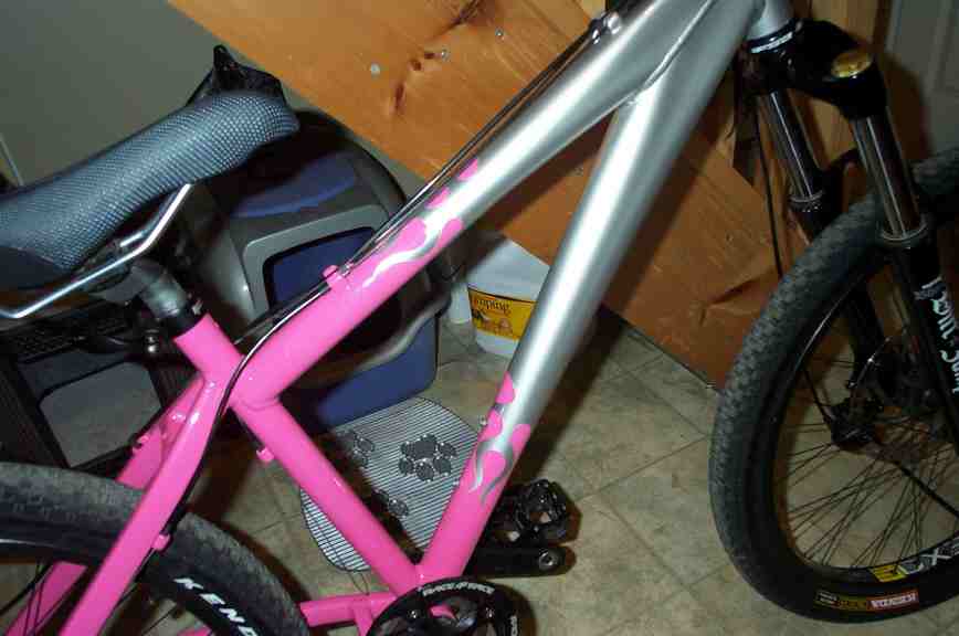 bike rose 007.jpg