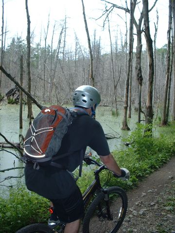 Un beau marais SANS  mouches .jpg