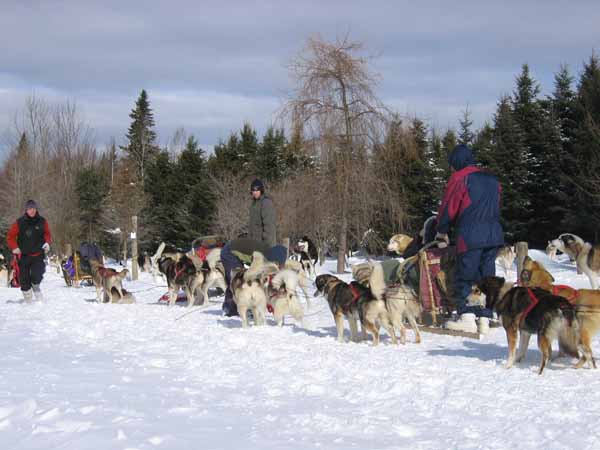 Traîneau à chiens 070.jpg