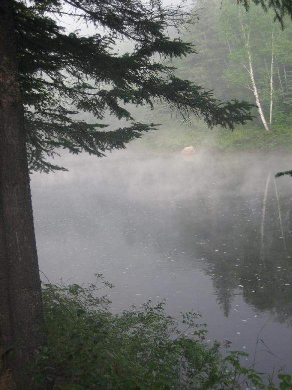 La Tuque-Camping le matin.JPG